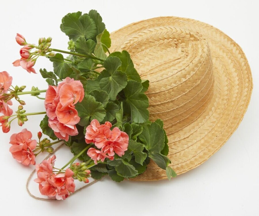 2022-geraniums-5010-diy-flower-wall-decoration-with-summerhats-06-1024x853_703f0.jpg
