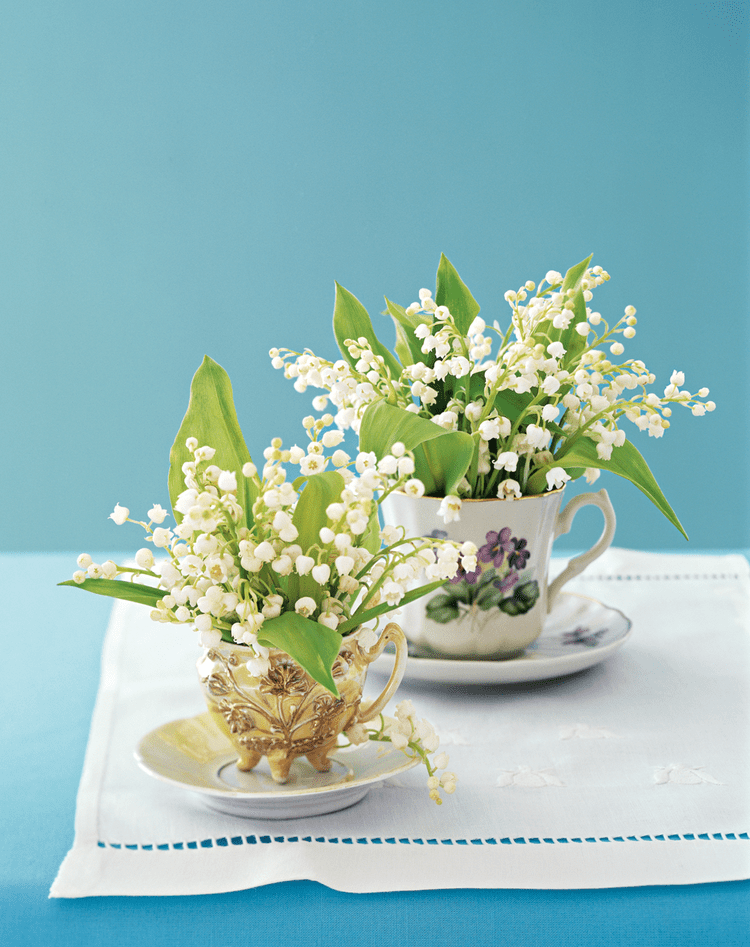 BHG155145_preview-e95d152fbf1e4f94a95515d6b025f40d_b4b05.png