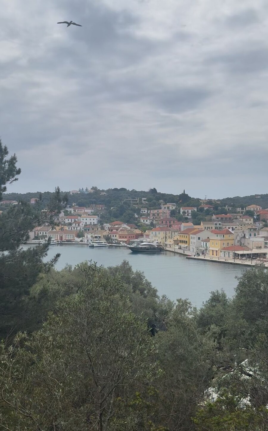 _εικόνας_WhatsApp_2025-04-20_στις_16.10.34_d25782ad_267f1.jpg
