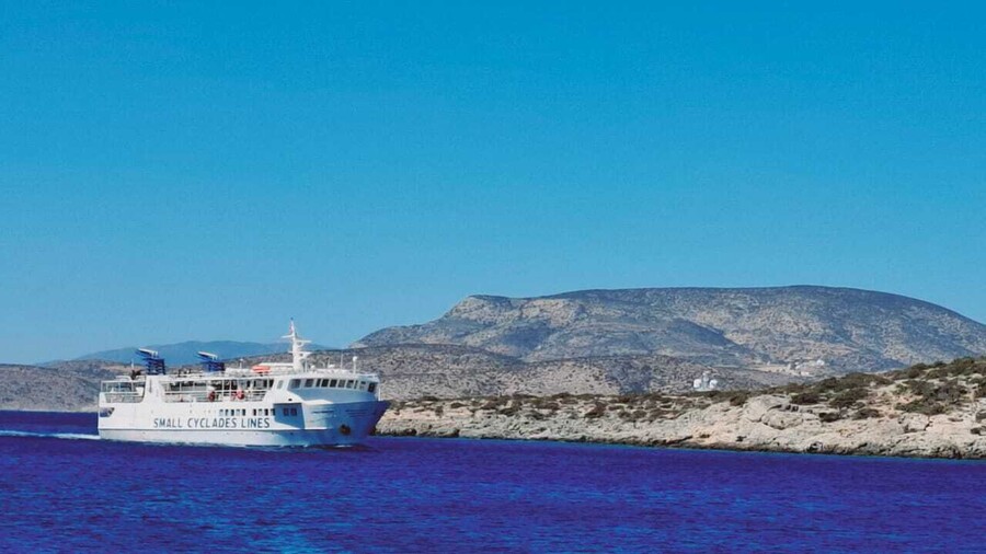 σχοινουσα_3_a8d04.jpg