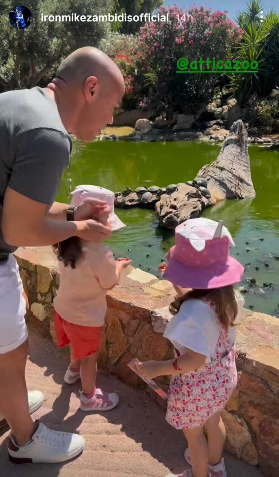 ZABIDIS_FAMILY_ZOO_3_8ee3e.jpeg