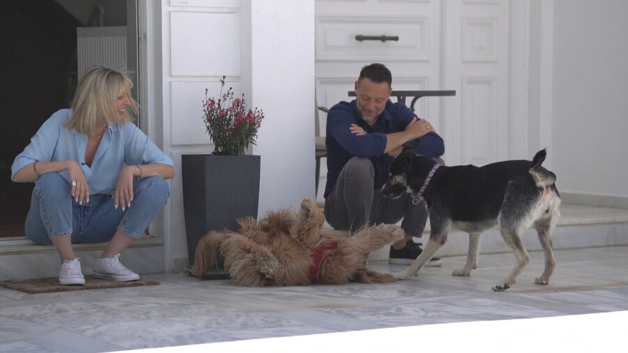 PET_STORIES_13.07_1_5adbd.jpg