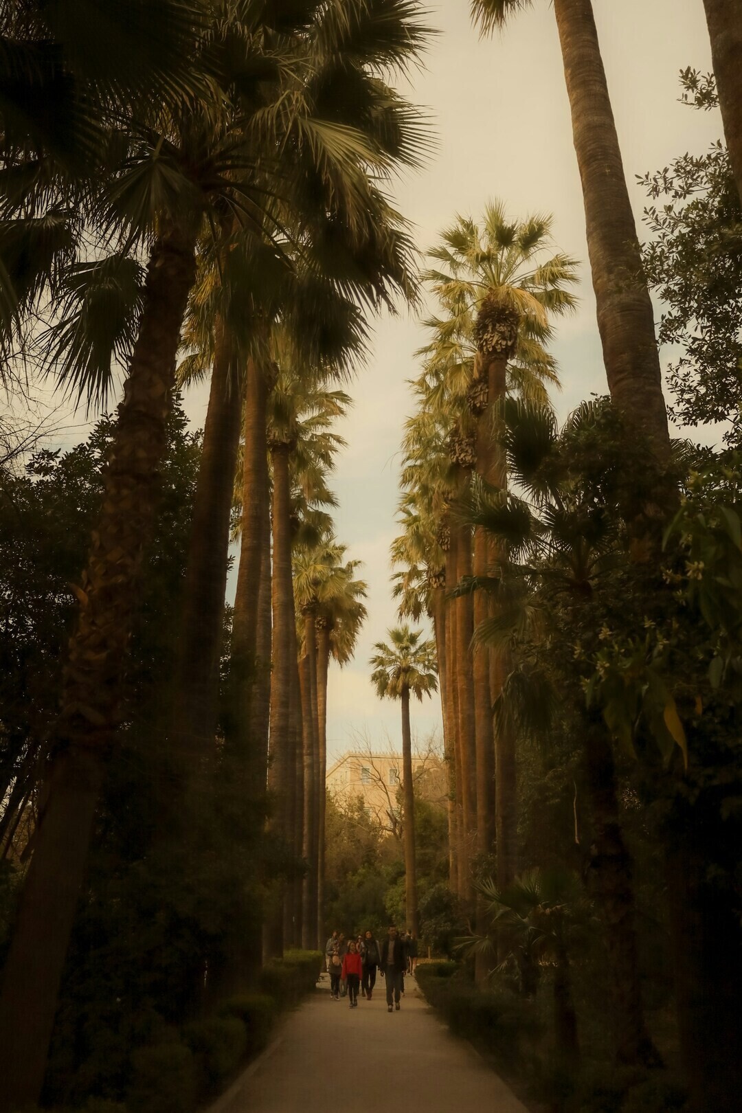 richard stachmann 2cXw2CmnTxQ unsplash 1 53227