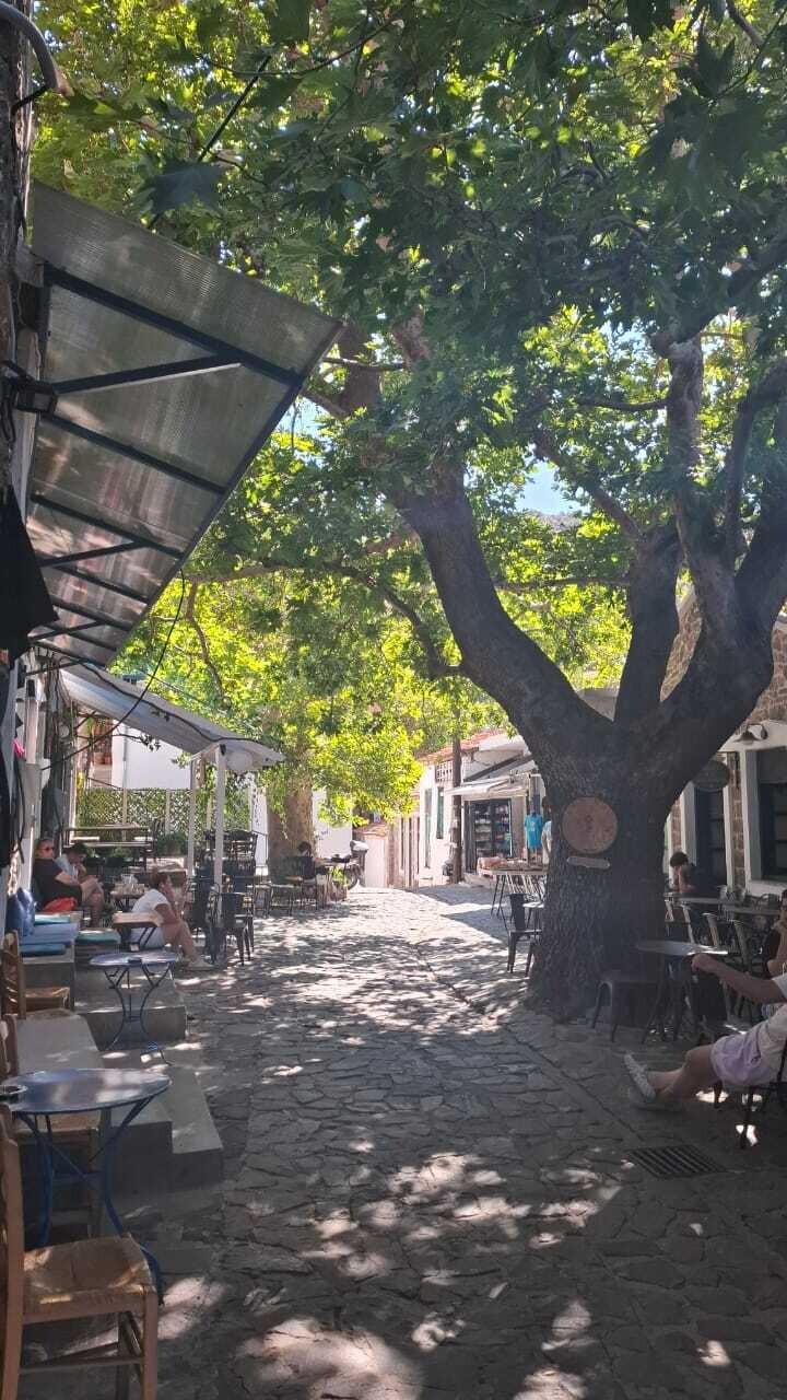 OPOY_YPARXEI_ELLADA_SAMOTHRAKI_4_2f9f9.jpeg