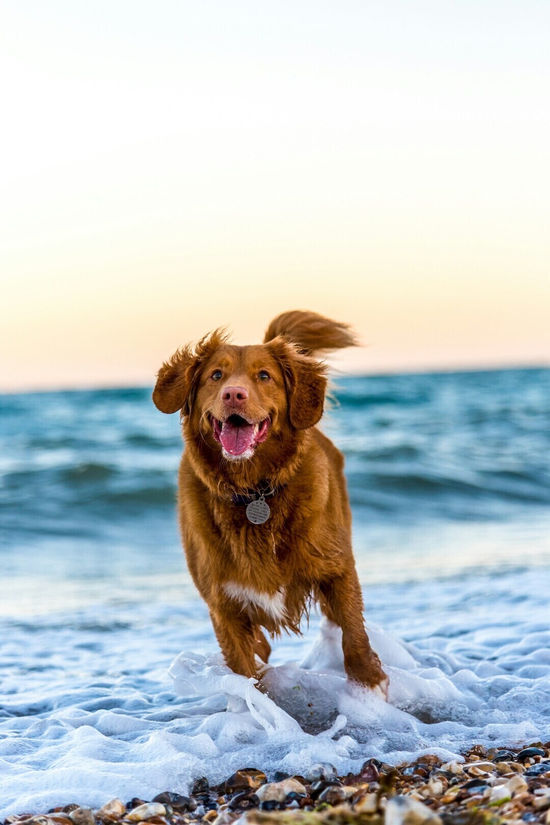 oscar sutton yihlaRCCvd4 unsplash 1 8ac4b
