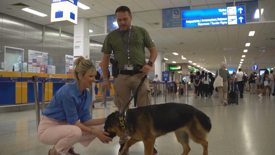 PET_STORIES_20.07_10_472dd.jpg