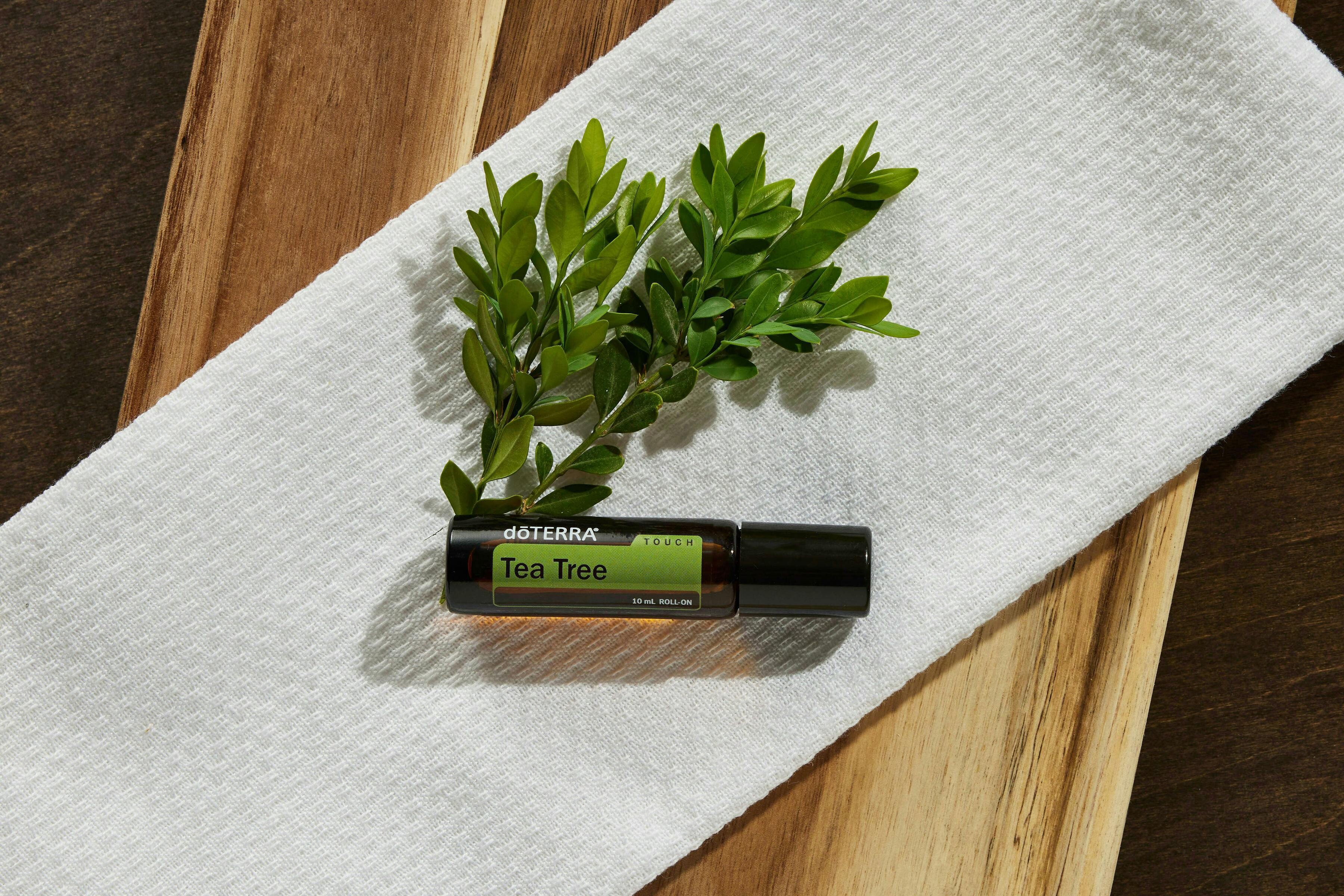pexels doterra international llc 2204678 17602851 ee91e