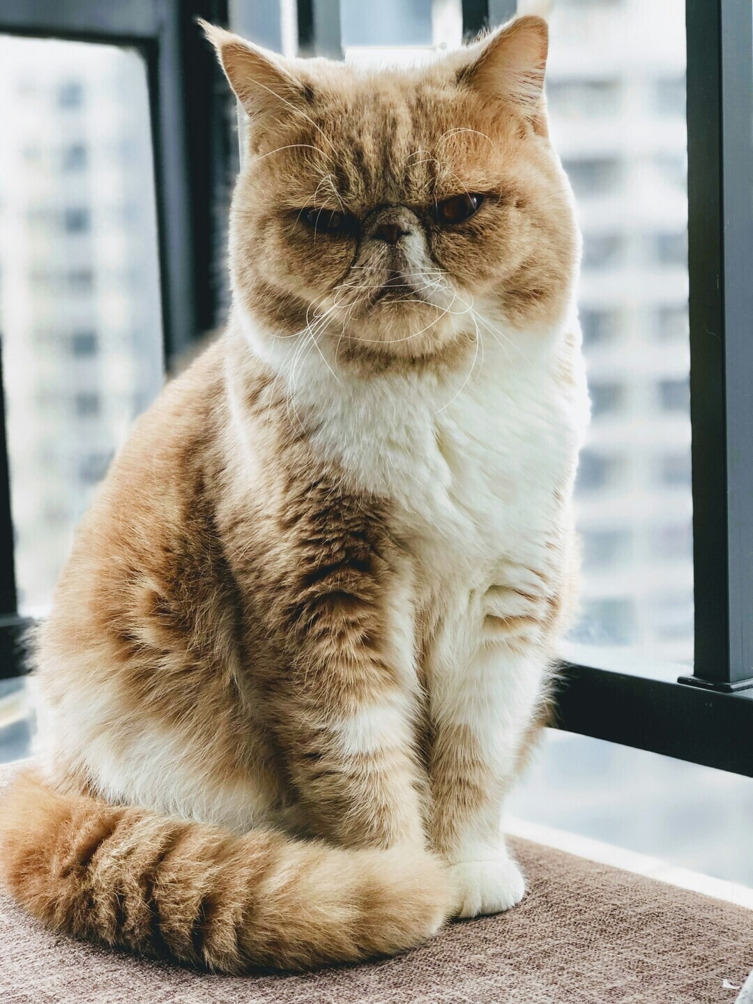 cyrus chew Dl39g6QhOIM unsplash 1 9b4fd
