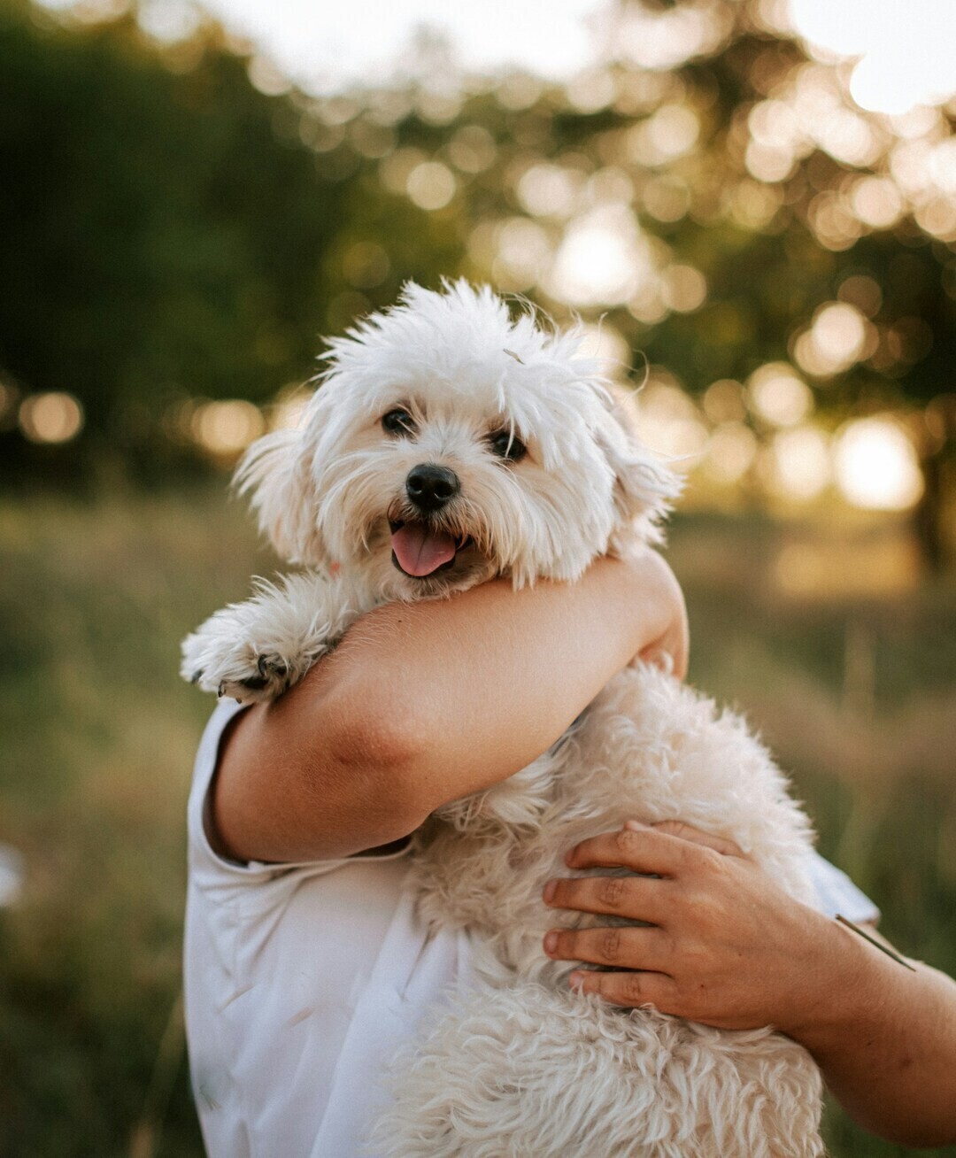 kateryna hliznitsova aPxig5U0TpE unsplash 1 8e394