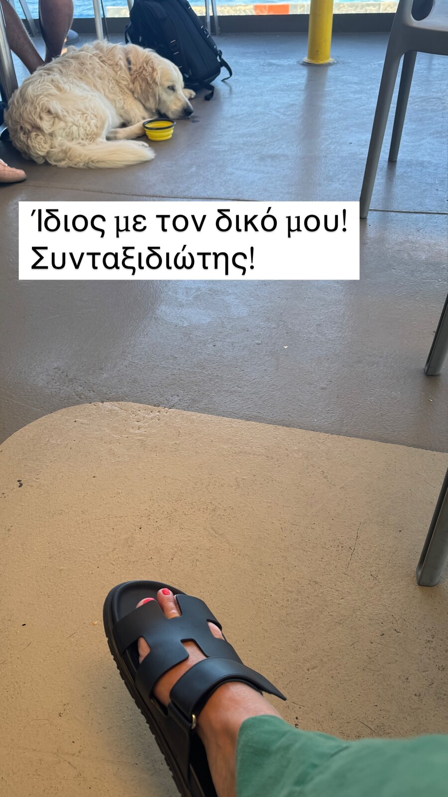 1_341df.jpg