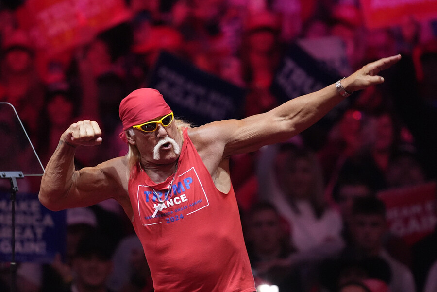HULK_HOGAN_THANATOS_7_2c966.jpg