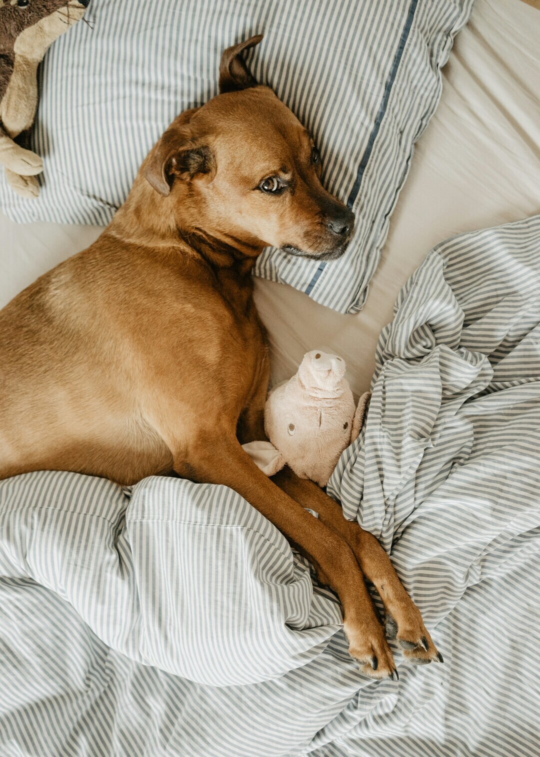 ruby schmank u8m78vjugM8 unsplash 1 c99ed