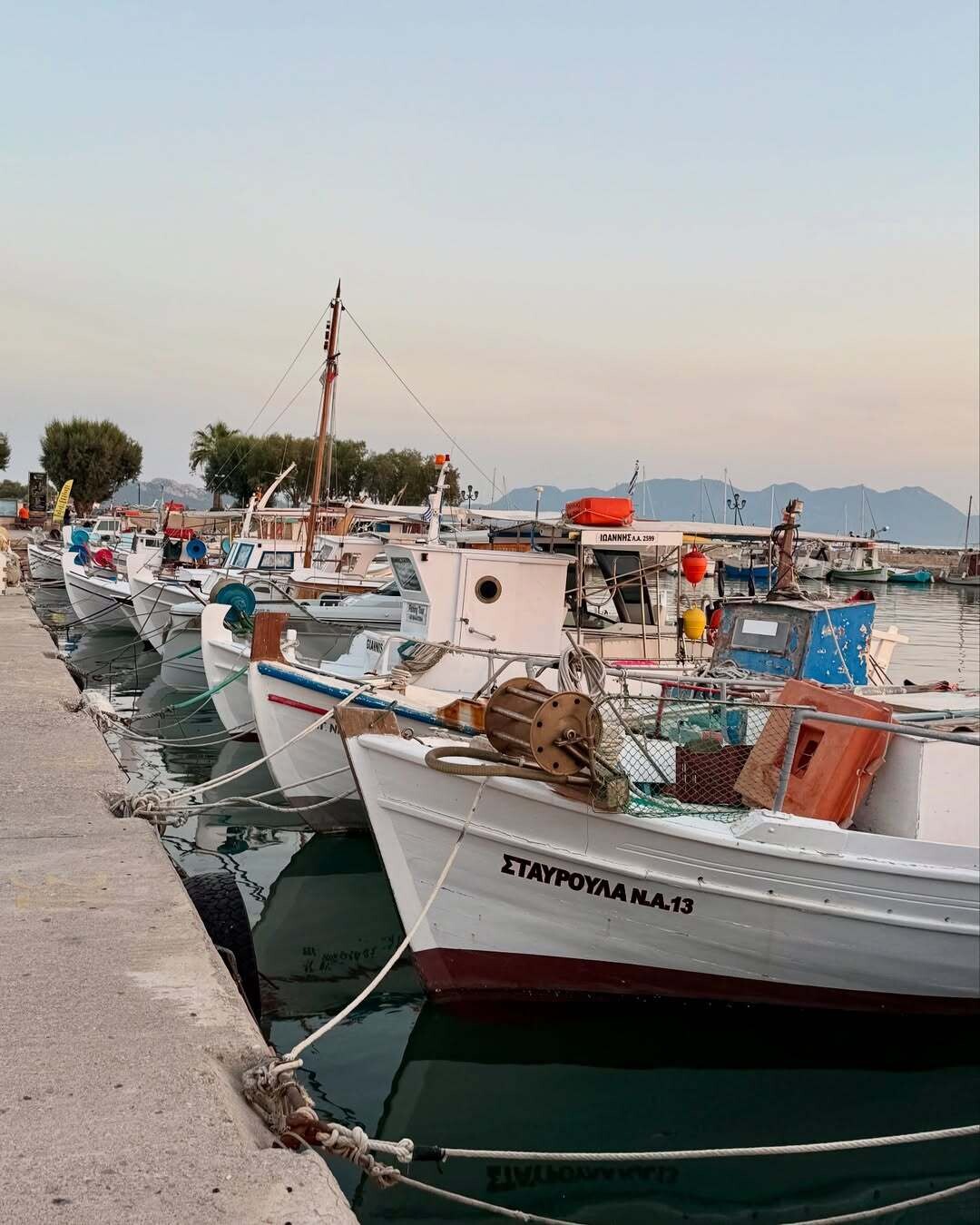 A bit of Aegina aegina hreece 12 8b00e