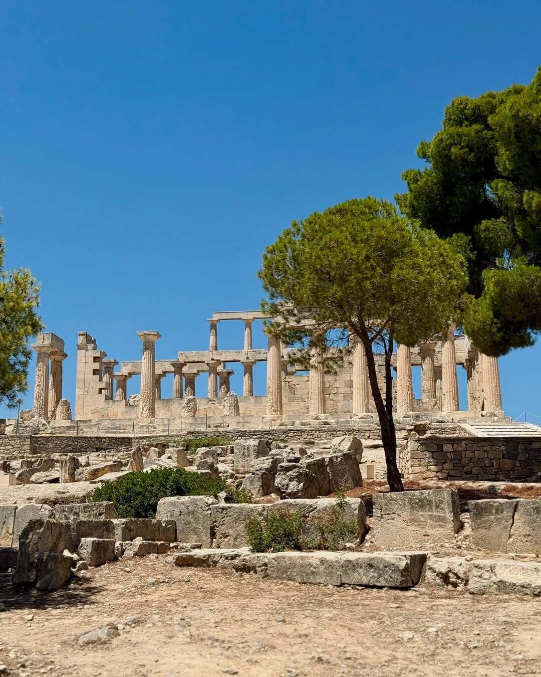 A bit of Aegina aegina hreece 15 6c189