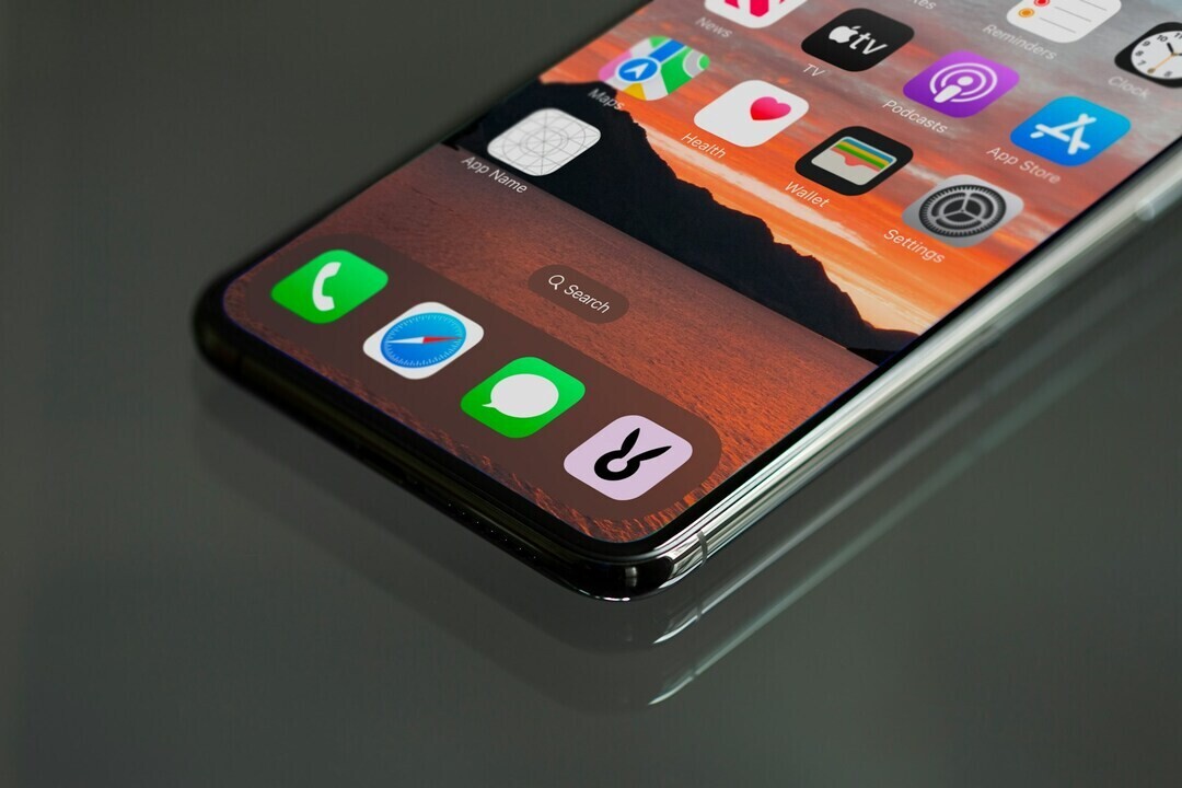 flure bunny 8Ao9ADKBcpU unsplash 1 5cad6