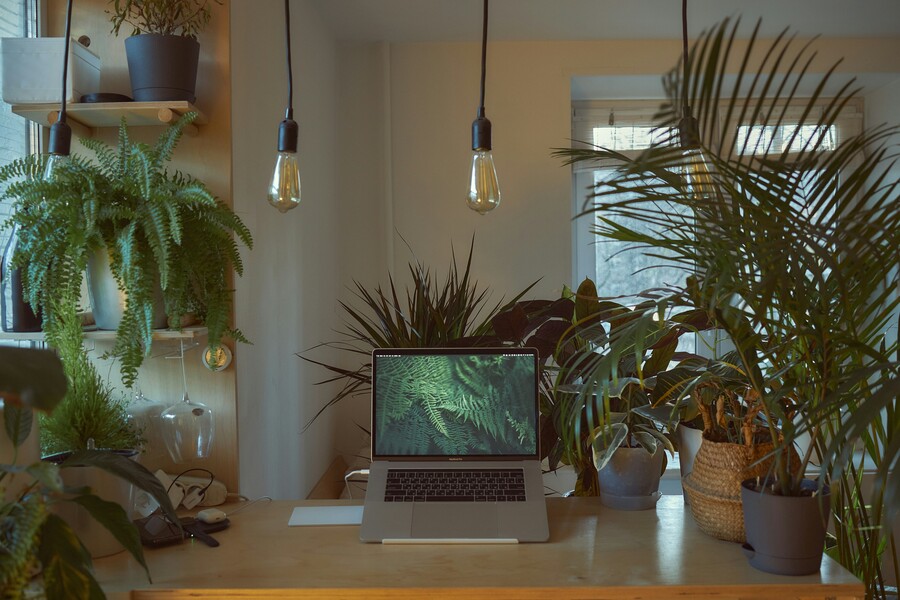 vadim-kaipov-Zvj8cbiu1is-unsplash_50d12.jpg