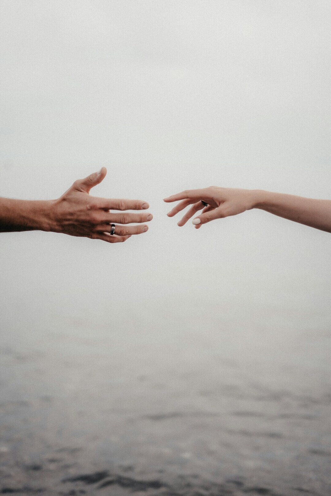 ellen volkova LV8o EUal s unsplash 1 e6173