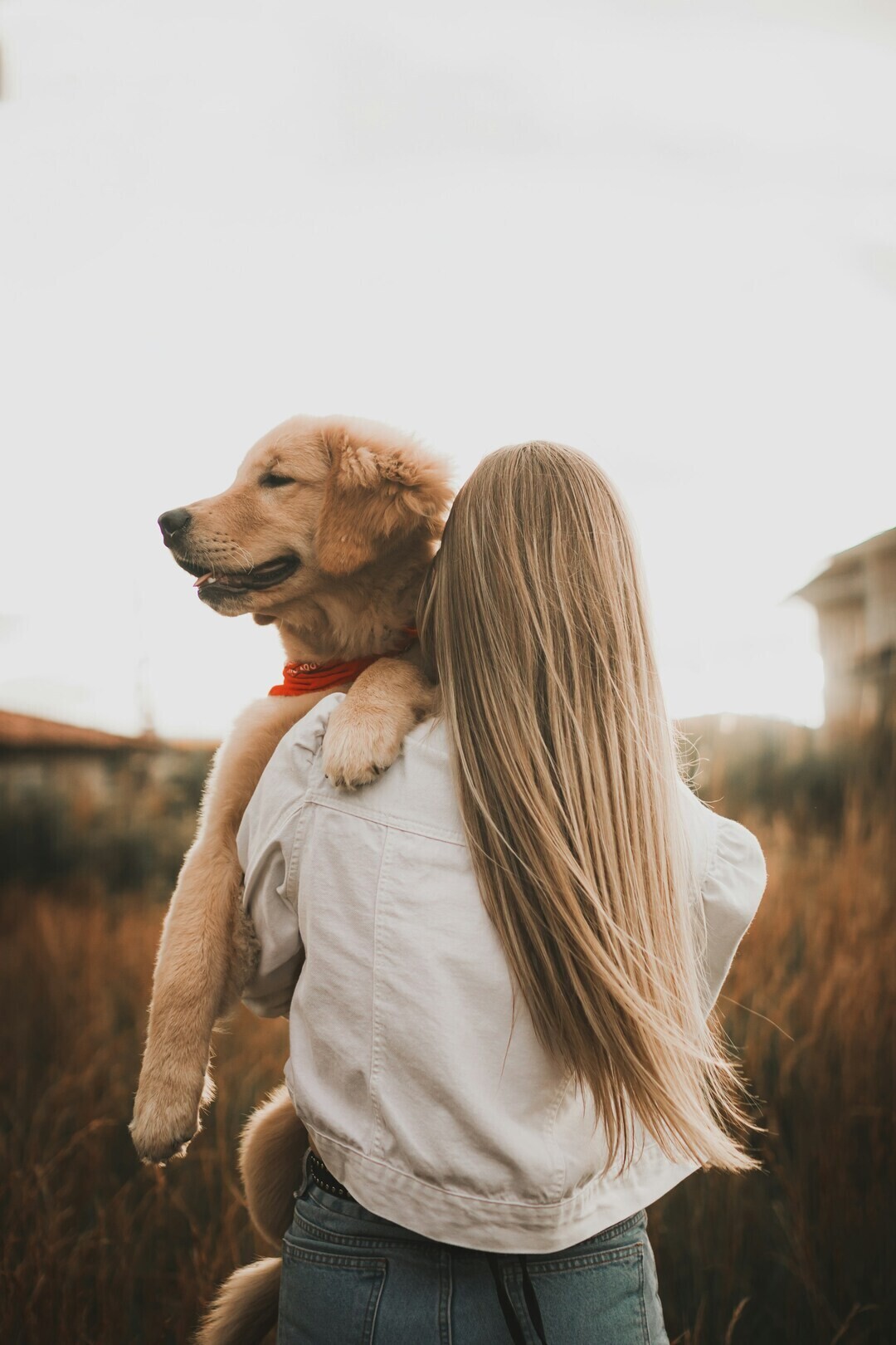 alexander mass 3Tuy8tU2rEE unsplash 1 9f373