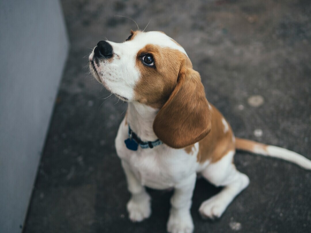 marcus wallis 4zfacTKyZ7w unsplash 1 e6d92