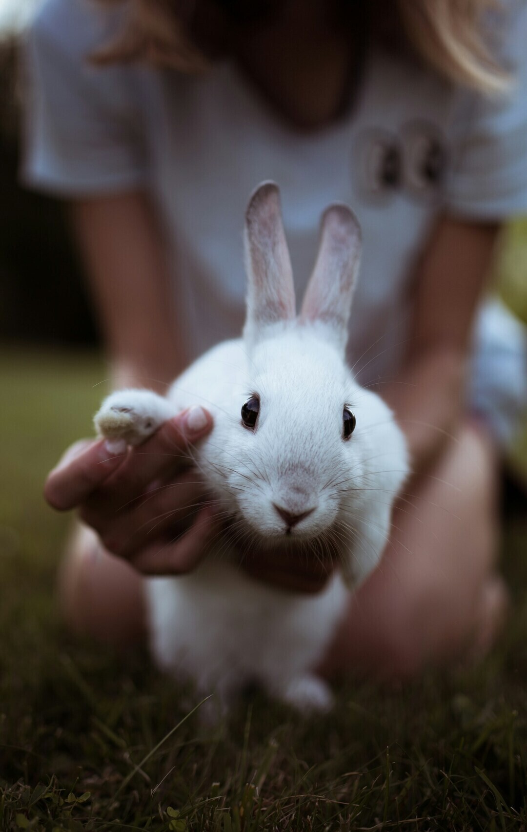 william daigneault zokLvUcShAc unsplash 9006b