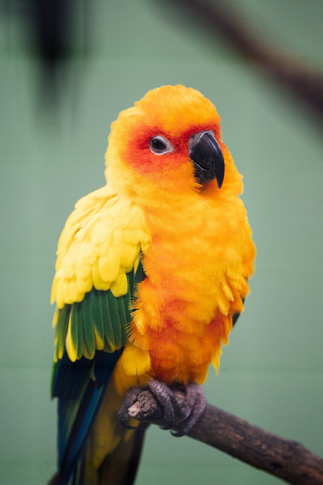 chuttersnap HE3qs1rYdE unsplash e5555