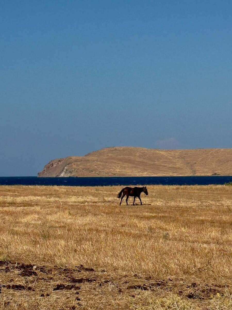 laskaraki_limnos_2_2a93c.jpg