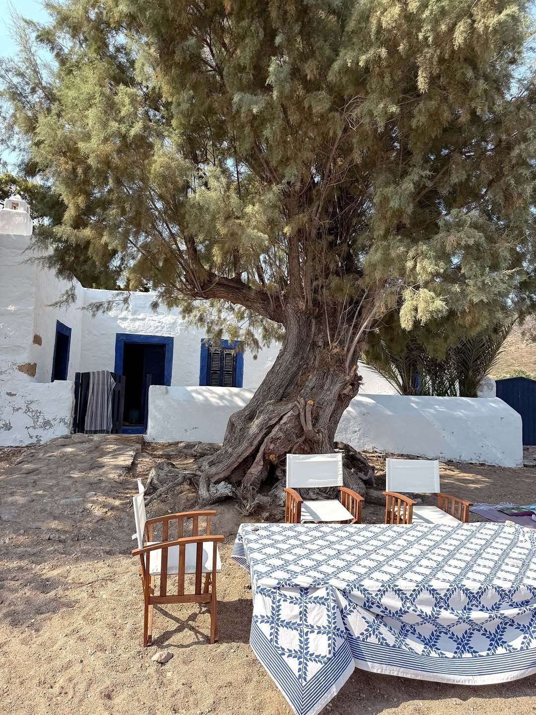 ΠάτμοςΠριν φύγω από την Αθήνα μια γλυκιά πωλήτρια την ώρα που διάλεγα βιβλία μου έβαλε στα χ 4 ba599