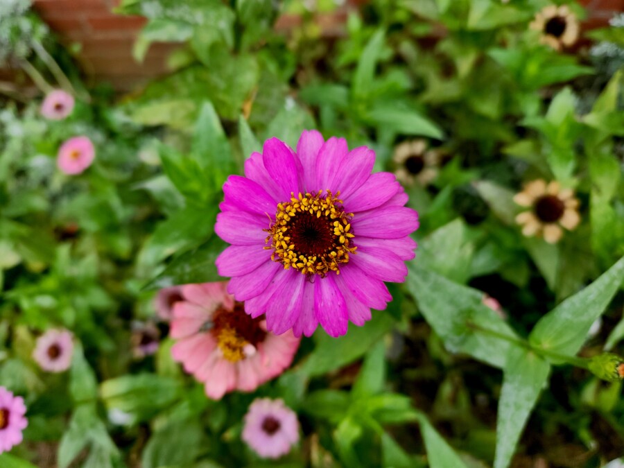 zoshua-colah-2MkoyhsXWt0-unsplash_457a4.jpg