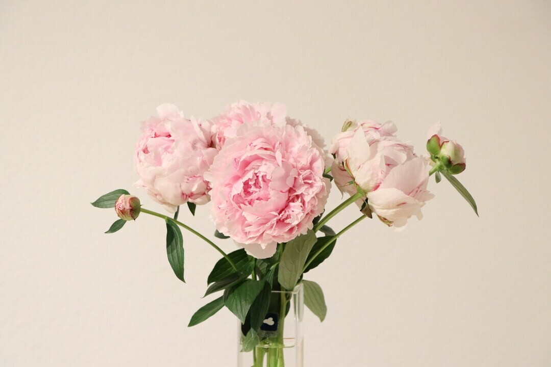 julia knh2IwCyD60 unsplash 1 4d626