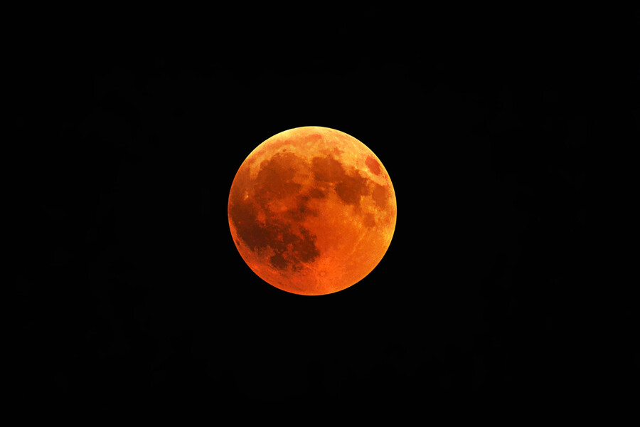 29392_37c11.jpg