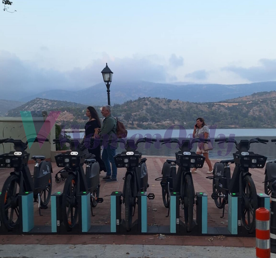 patoulis_1_565eb.jpg