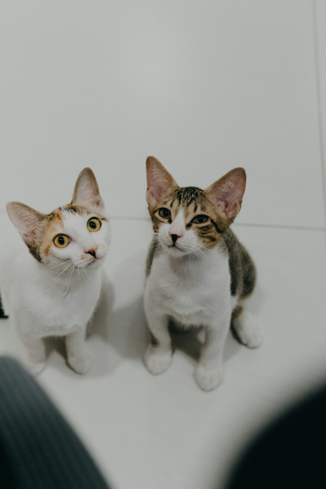 tai ngo S3vQk9ycIgU unsplash 1 04141