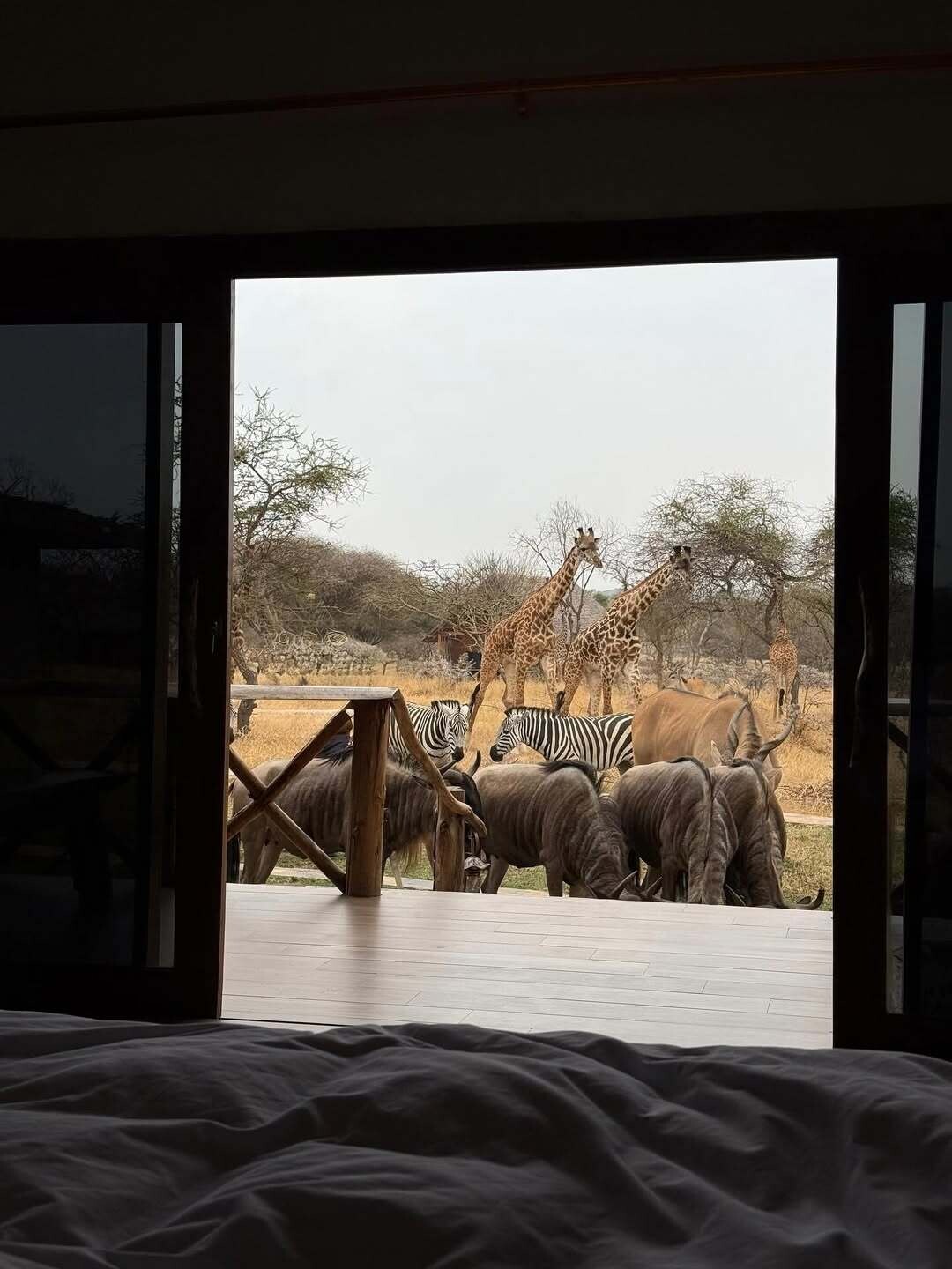 Tanzania 1 1dd98