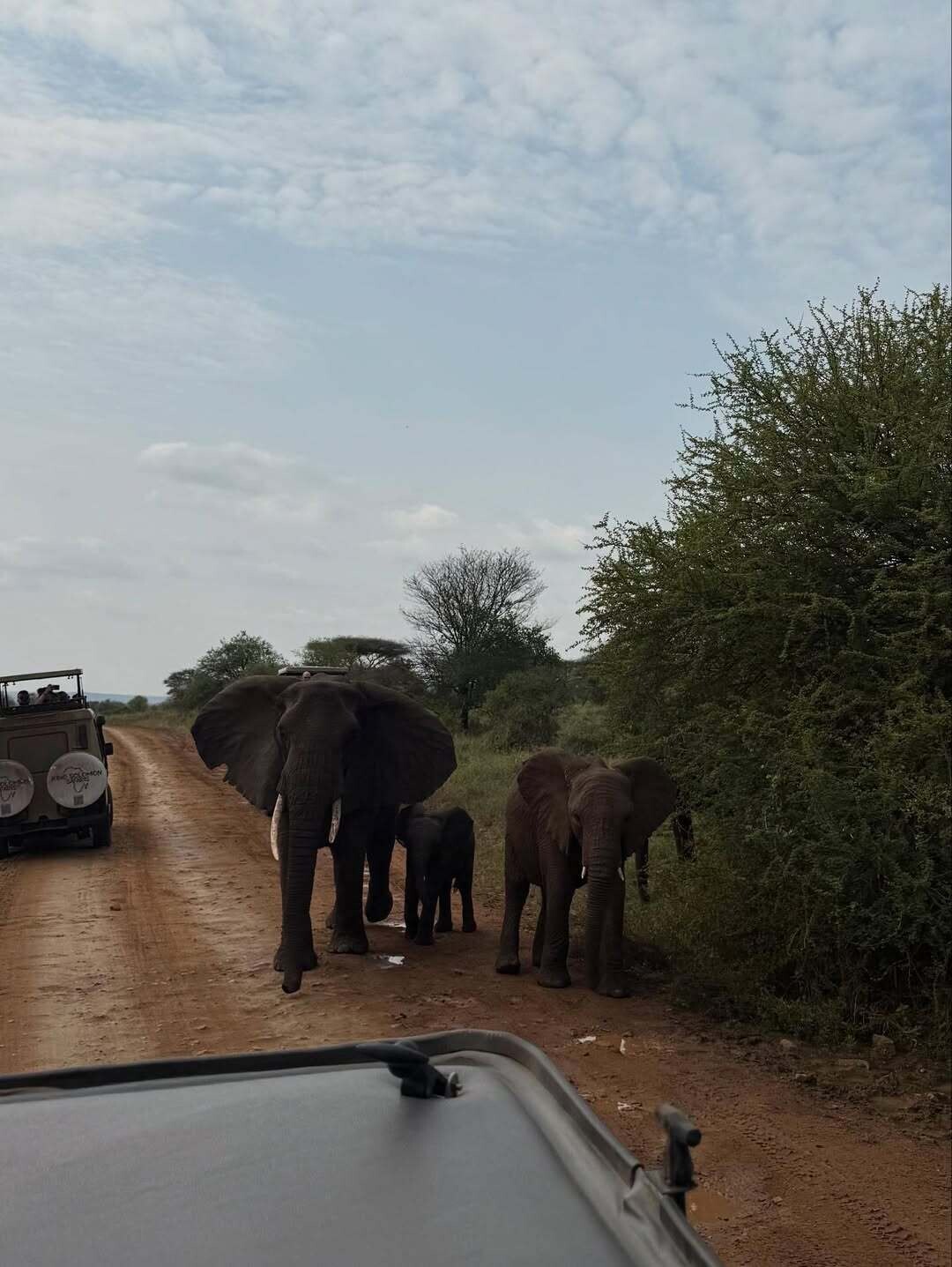 Tanzania 8 7702d