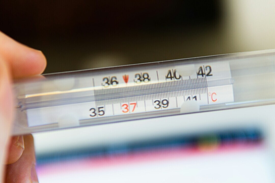 matteo fusco 4zvnt60 pak unsplash 1 19dd3