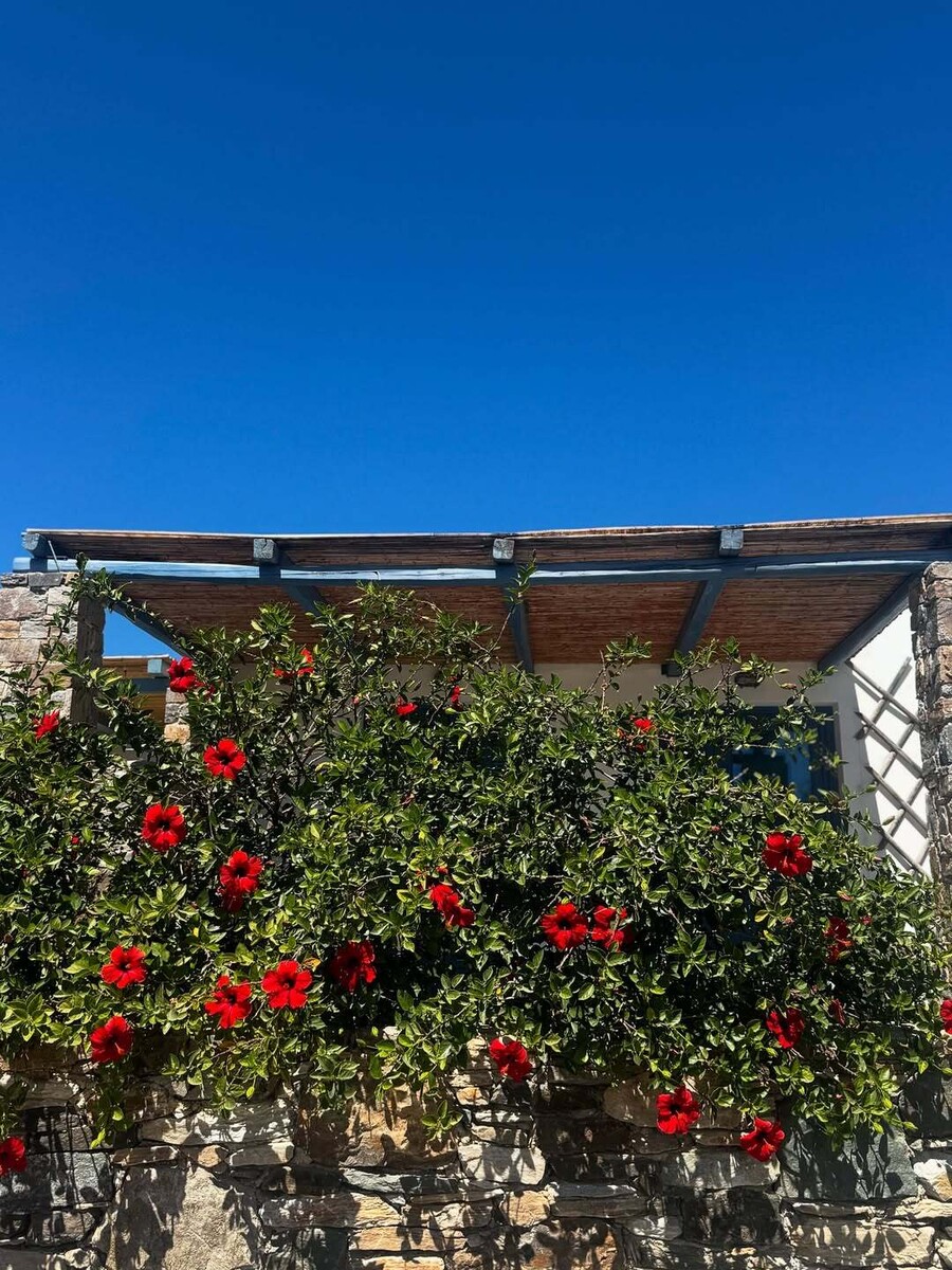 SnapInsta.to_542686208_18528568066062690_1039438777651791813_n_f04e7.jpg