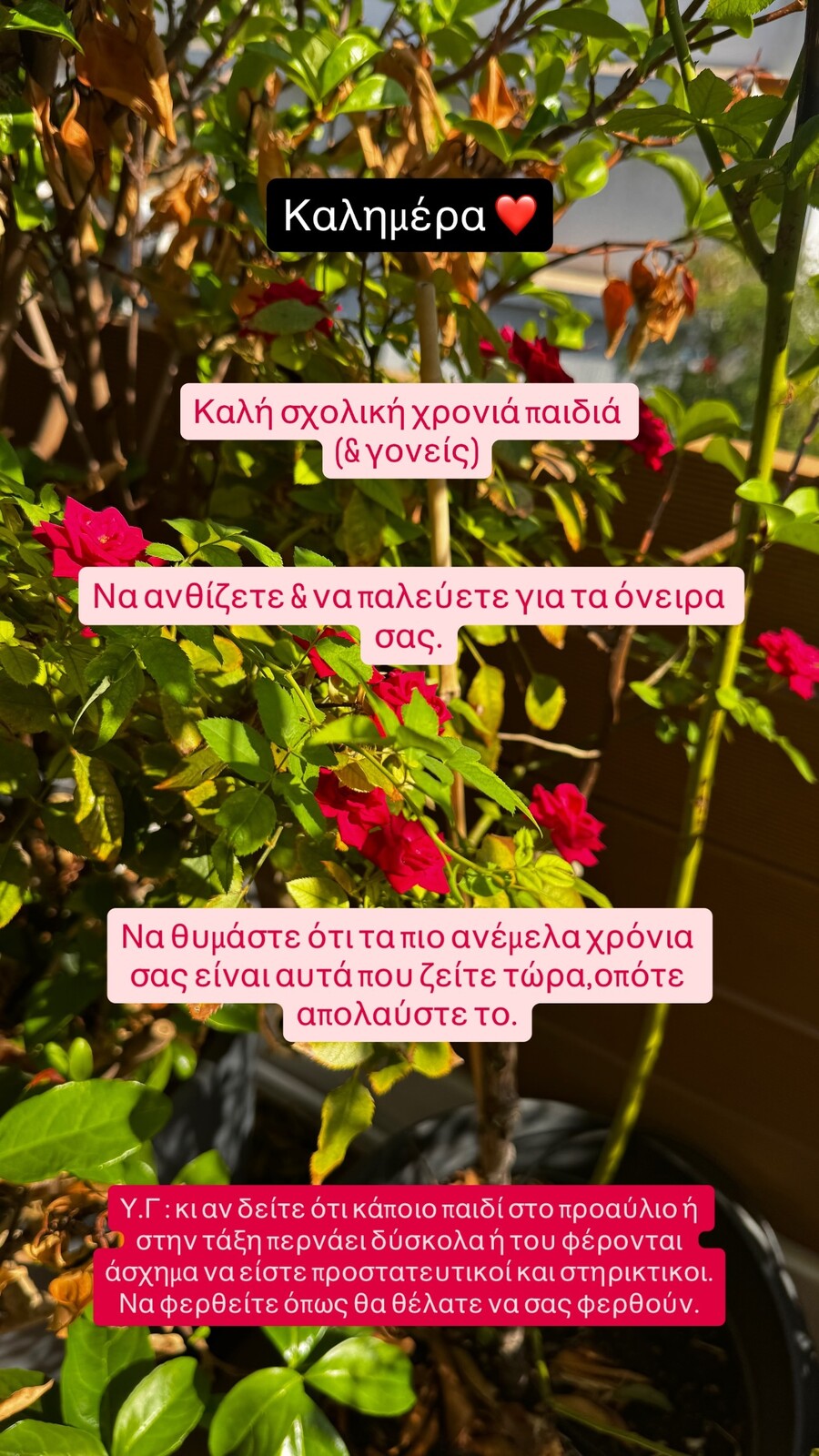 SnapInsta.to_544845583_18529786855062690_6634647354884211800_n_908ab.jpg