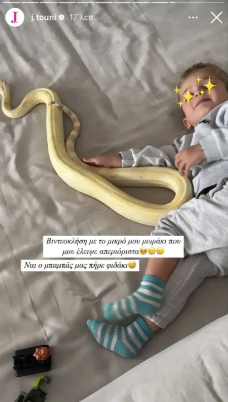 touni fidi 1c6d9 c2c42