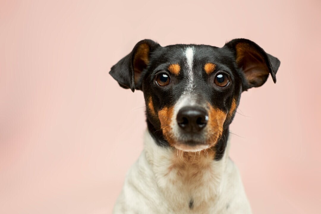 victor g N04FIfHhv k unsplash 1 5b447