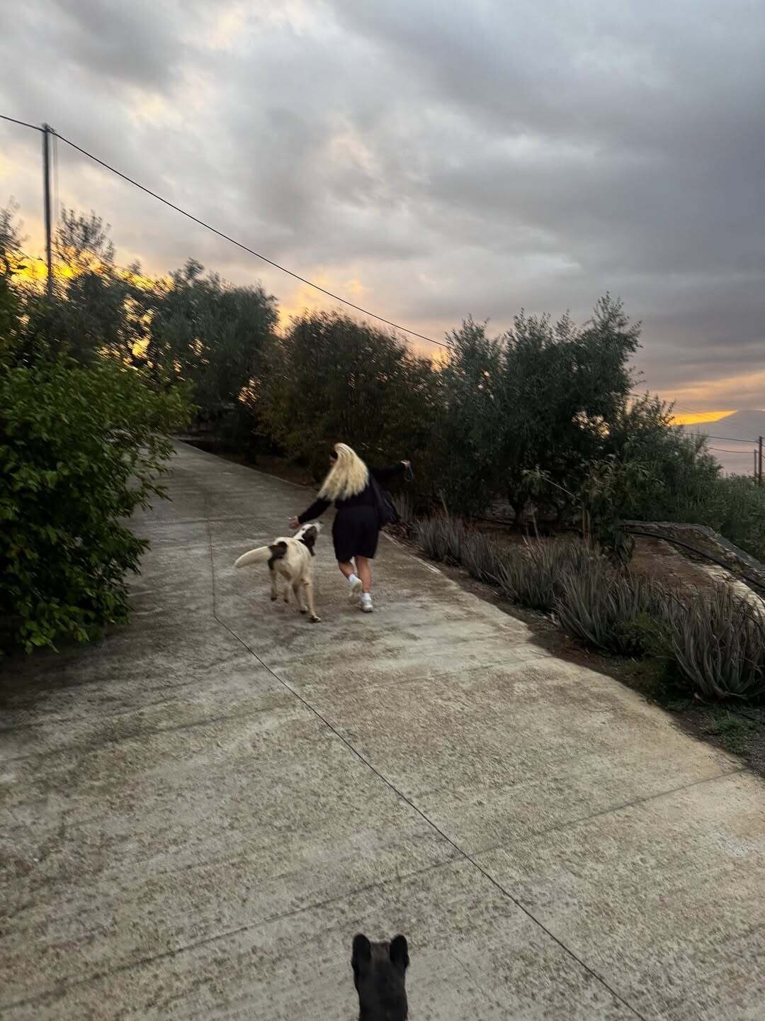 ευφορία η συναίσθημα μεγάλης ψυχικής ευεξίας ψυχική ευφορία ή αλλιώς euphoria suites st 6 b366c
