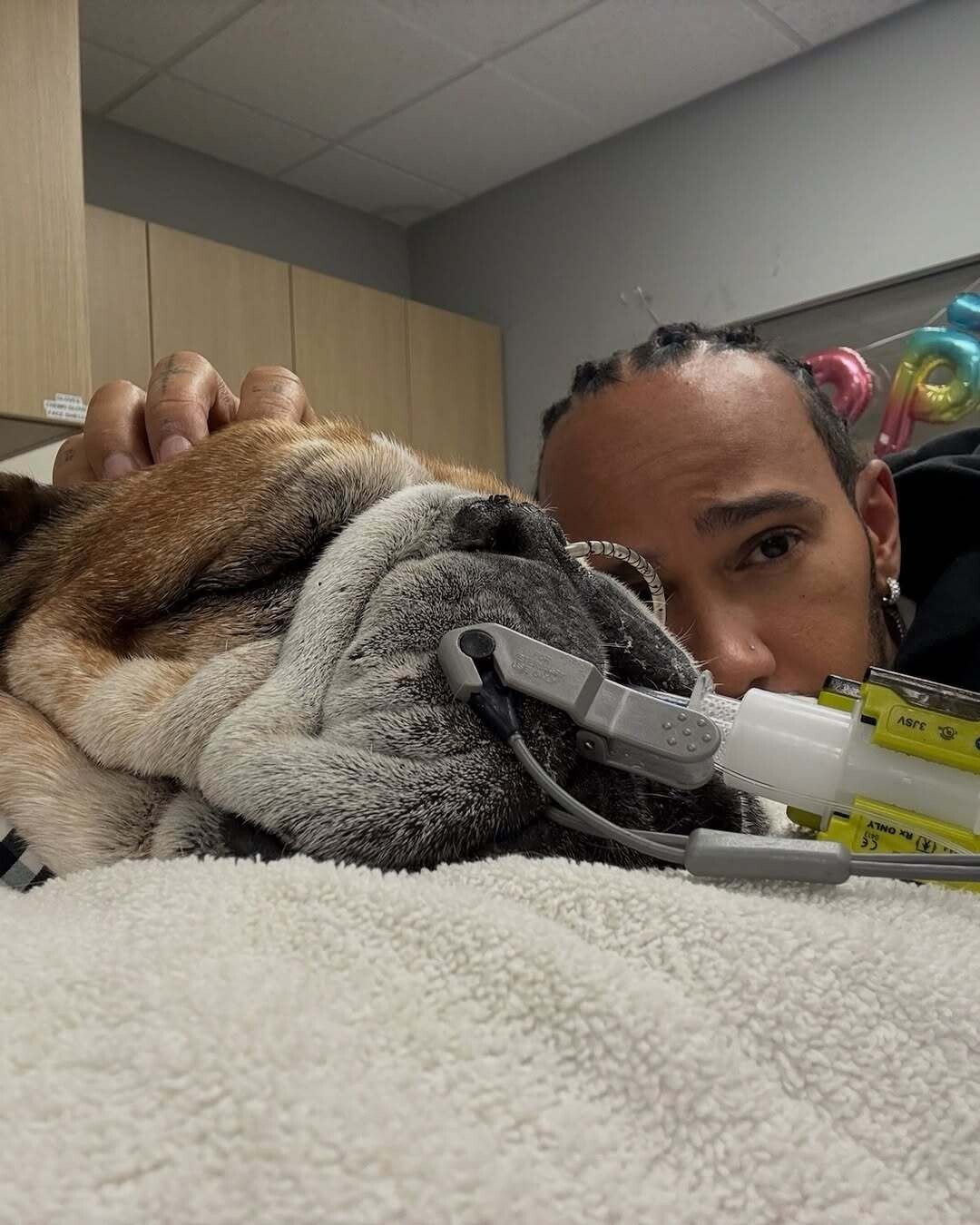 Please keep Roscoe in your thoughts. I want to keep you all updated. Roscoe caught pneumonia aga 0fa89
