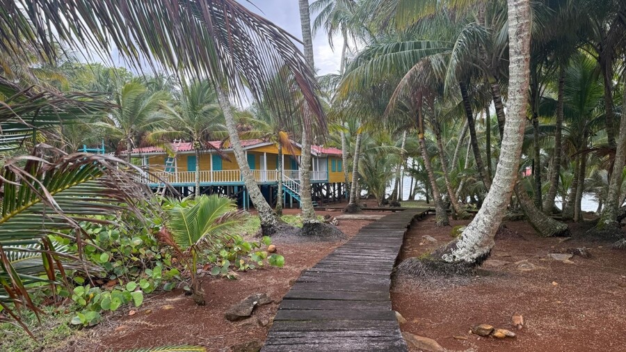 IGUANA_ISLAND_PWLISSI_1_73c24.jpeg
