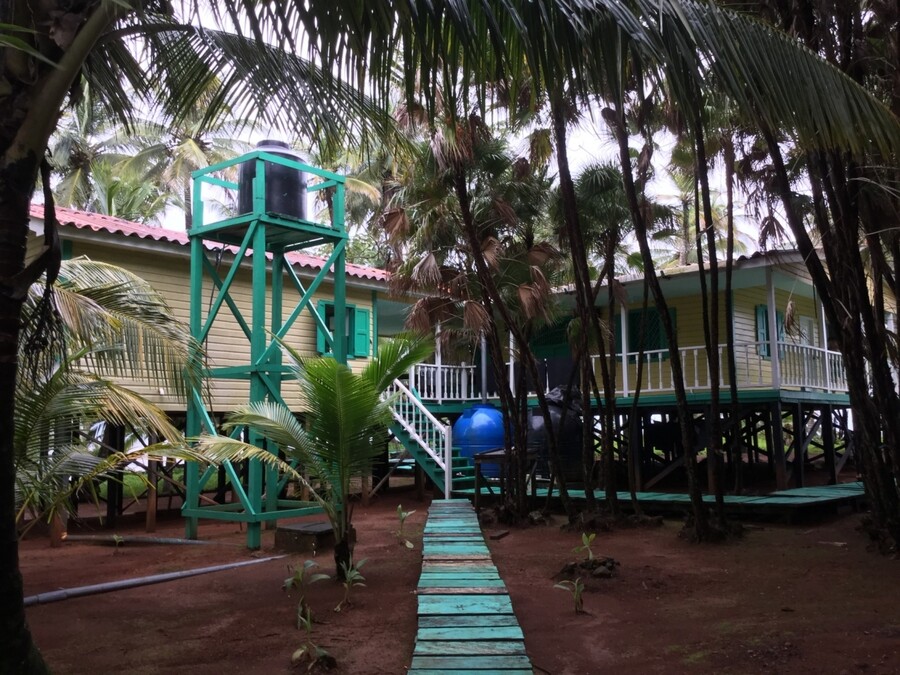 IGUANA_ISLAND_PWLISSI_3_31460.jpeg