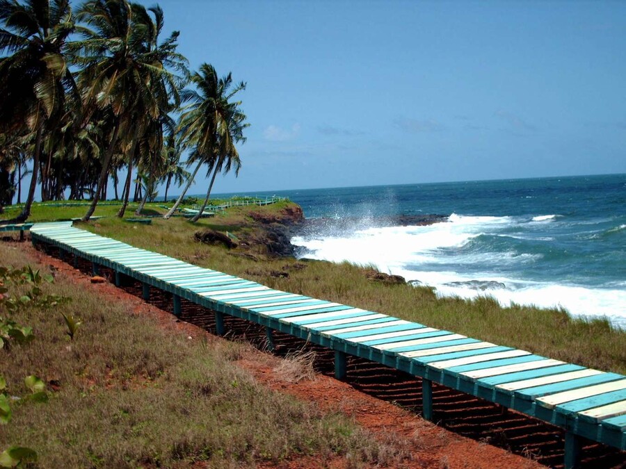 IGUANA_ISLAND_PWLISSI_3_b7897.jpg