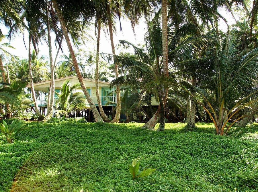 IGUANA_ISLAND_PWLISSI_4_a81d8.jpg