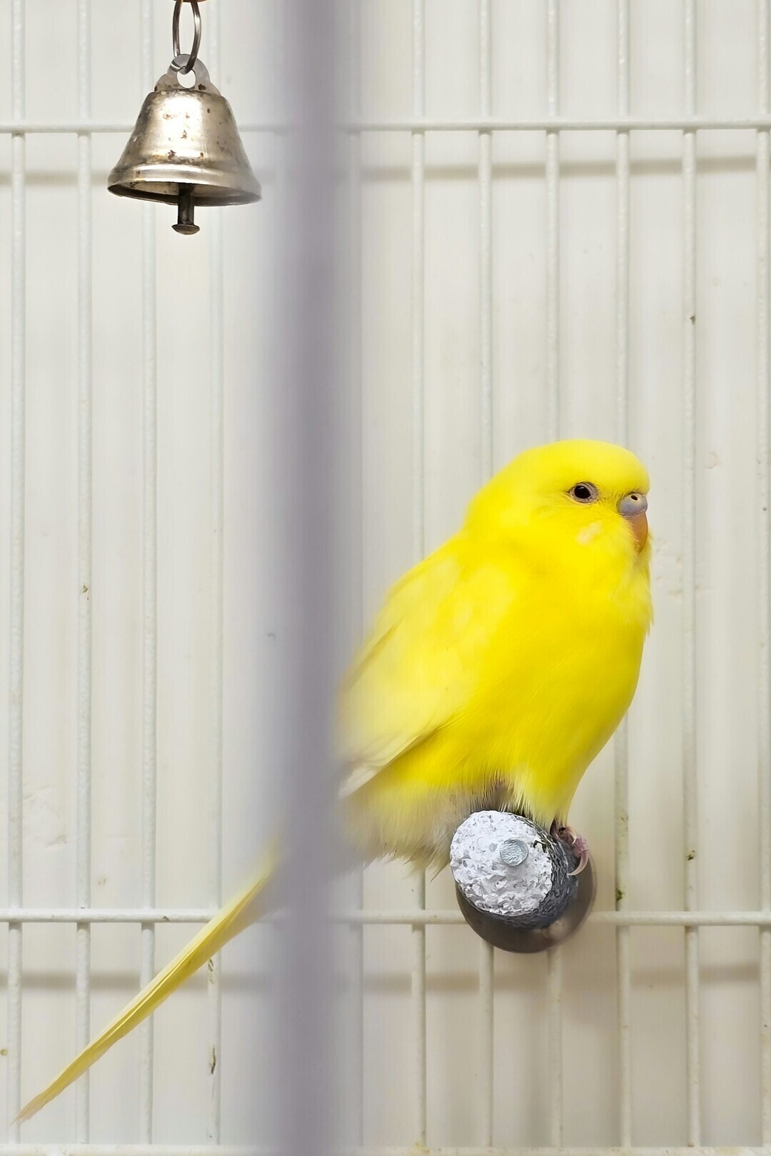 jashwanth reddy 6kZ2GuSvBJs unsplash 1 5850b