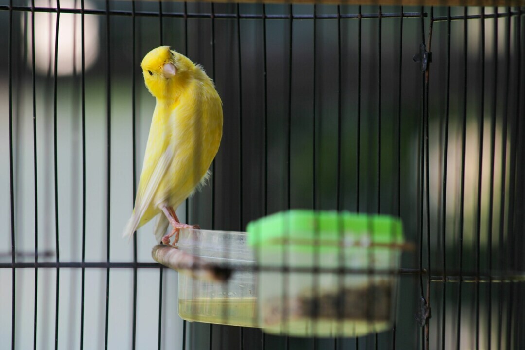 torikara faNOm7YwoSk unsplash 1 c131e