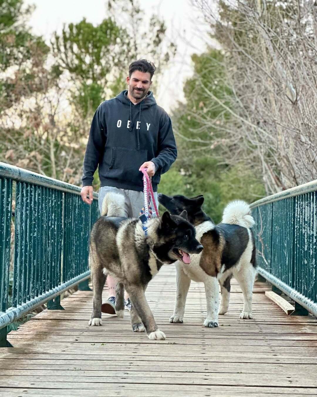 Εγώ τα έχω όπως έχω την οικογένεια μου τα σκυλιά μου και τα νιώθω σαν παιδιά μου όπως τον Παρη 7a7b3