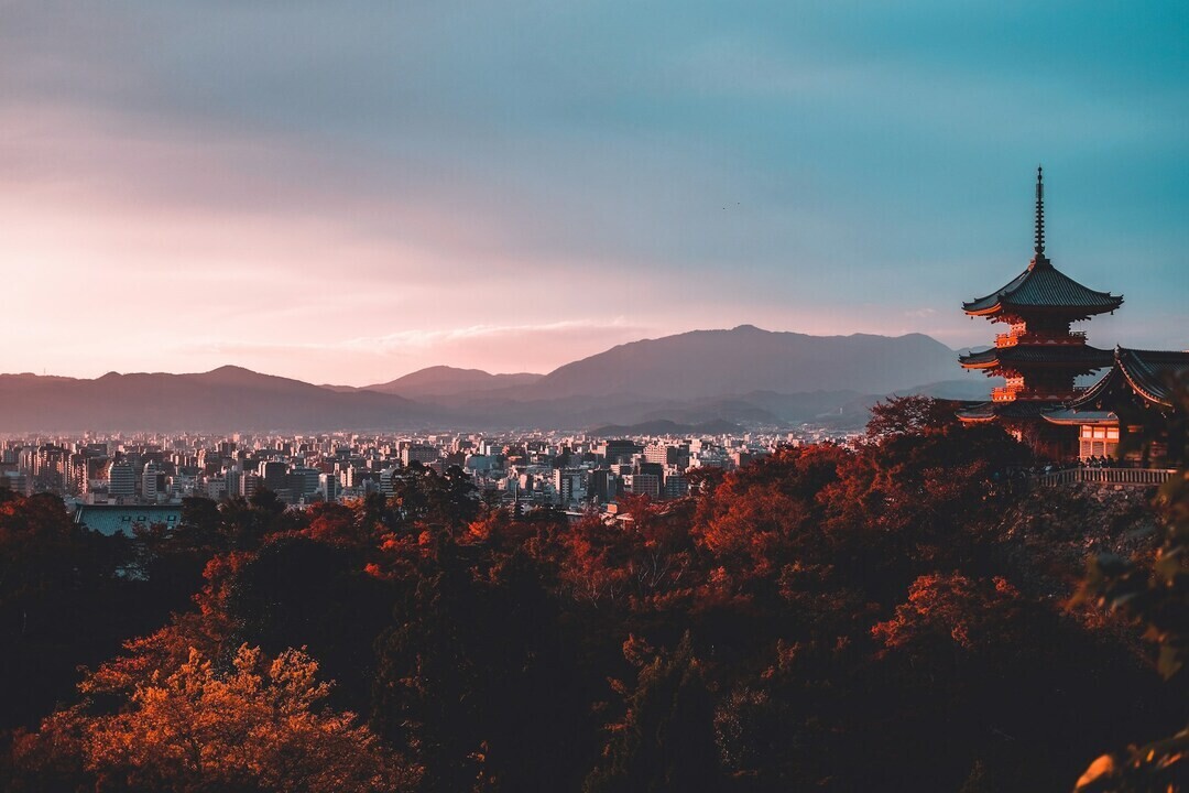 su san lee E eWwM29wfU unsplash 1 2dd0f