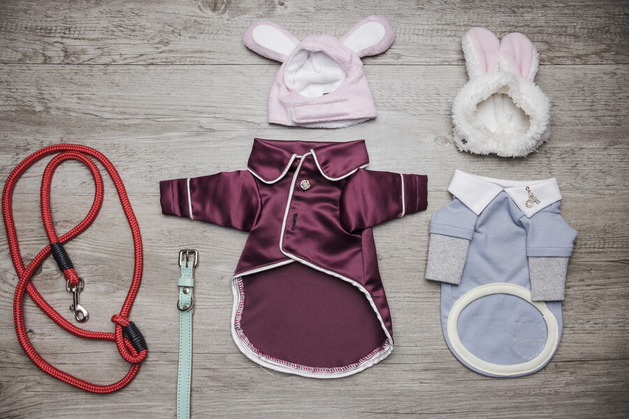 dog-sleepwear-walking-lead_6c4b0.jpg
